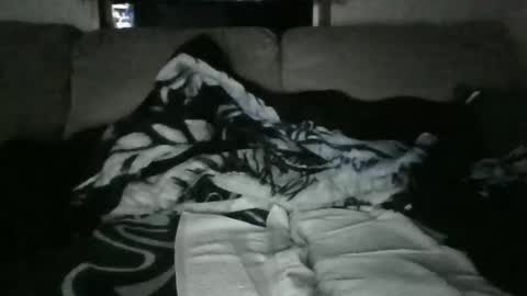 jerseyquinn92 online show from November 12, 2025, 2:56 am