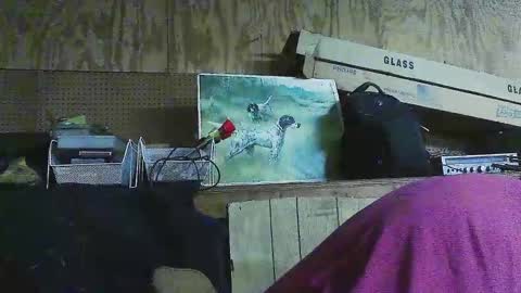 Snapshot of jessiehammerdik chatting on March 6, 2025, 6:19 am Dixon Cider online show from March 6, 2025, 6:19 am