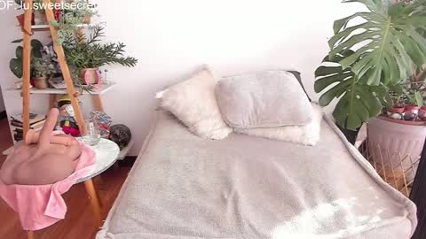 JessyLu online show from November 19, 2025, 7:47 pm