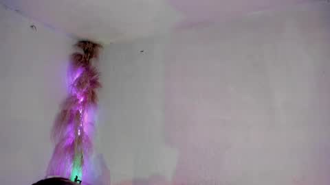 Snapshot of jianinescoth chatting on February 10, 2025, 1:01 pm jianilnescoth online show from February 10, 2025, 1:01 pm