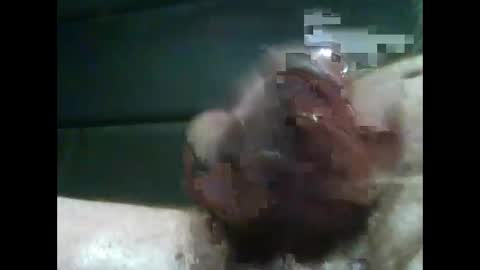 Snapshot of jimboluv488 chatting on February 14, 2025, 2:18 am jimboluv488 online show from February 14, 2025, 2:18 am