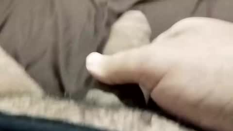 Snapshot of jj3377 chatting on October 26, 2025, 6:08 am jj3377 online show from October 26, 2025, 6:08 am