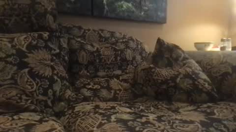 jlk7777 online show from December 4, 2024, 7:01 pm