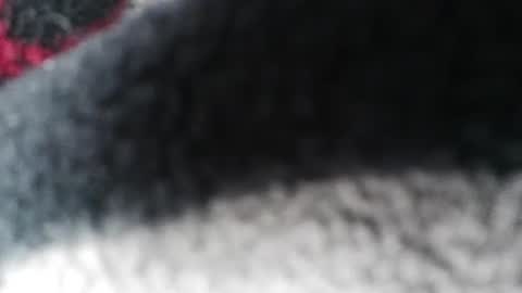 Jimmy online show from February 23, 2025, 5:56 am