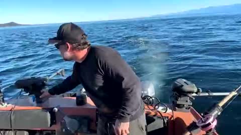 Snapshot of johnandmarie_ chatting on October 5, 2025, 11:13 pm johnandmarie_ online show from October 5, 2025, 11:13 pm