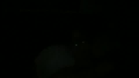 Snapshot of johnukber chatting on December 9, 2024, 12:45 am John Ukber online show from December 9, 2024, 12:45 am