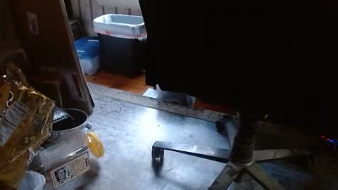 joncpics online show from November 6, 2025, 8:21 pm