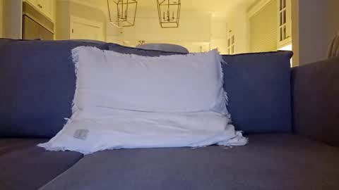 Snapshot of jonesy420xoo chatting on December 20, 2024, 1:58 am jonesy420xoo online show from December 20, 2024, 1:58 am