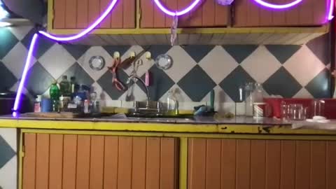 Jony Marta GMT 2000-0100 every day online show from November 19, 2025, 6:30 pm