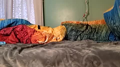 Snapshot of jorjina_x_mckie chatting on January 9, 2025, 8:22 pm jorjina_x_mckie online show from January 9, 2025, 8:22 pm