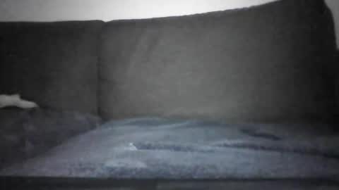 Snapshot of josei_h chatting on December 12, 2024, 7:15 pm Hentai Jo online show from December 12, 2024, 7:15 pm