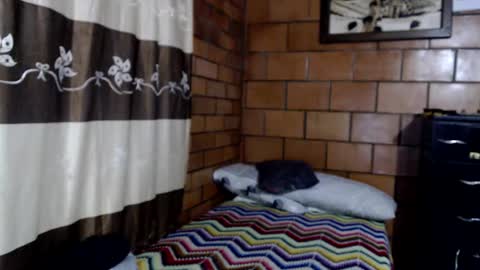 Snapshot of joseph_fit chatting on October 22, 2025, 3:07 am joseph online show from October 22, 2025, 3:07 am