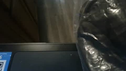 sissy josphine online show from January 8, 2025, 11:09 pm