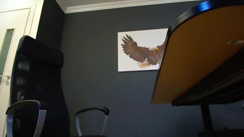 JoshKnight online show from March 4, 2025, 8:13 am