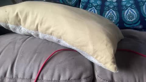 joshperrygoon online show from December 19, 2024, 7:29 pm