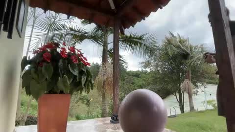 Im Jouliano online show from November 15, 2025, 8:05 pm