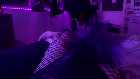 jrod11229 online show from October 24, 2025, 2:30 am