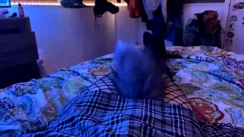 jrod11229 online show from October 27, 2025, 2:15 am