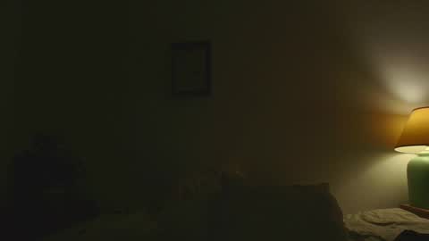 Snapshot of jsmine_ chatting on January 1, 2025, 8:13 am Jsmine and sometimes Beaulooks online show from January 1, 2025, 8:13 am