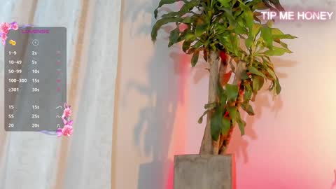 Juan Miguel online show from February 3, 2025, 9:30 am