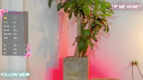 Juan Miguel online show from February 5, 2025, 9:46 am