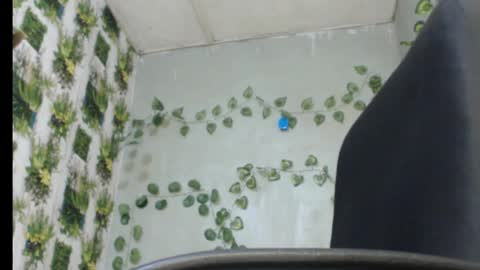 Snapshot of juicy_gold22 chatting on February 13, 2025, 1:19 am Mariagold online show from February 13, 2025, 1:19 am