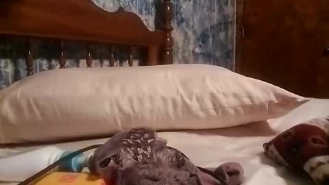 Snapshot of juicyj322 chatting on January 19, 2025, 9:11 am juicyj322 online show from January 19, 2025, 9:11 am