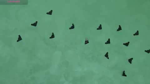 Julia online show from November 5, 2025, 8:47 am