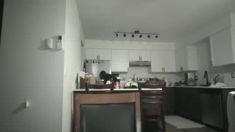 Sav online show from December 5, 2025, 5:05 am