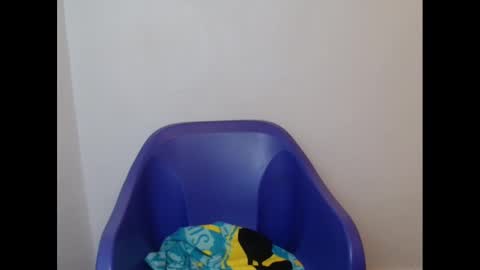 Snapshot of juicyxpink chatting on February 21, 2025, 2:16 pm juicyxpink online show from February 21, 2025, 2:16 pm