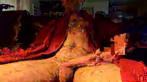 Snapshot of jujusbzh chatting on February 23, 2025, 8:06 am jujusbzh online show from February 23, 2025, 8:06 am