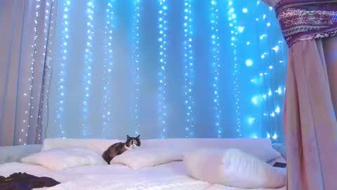 Snapshot of julia_renard chatting on November 29, 2025, 7:22 am Julia online show from November 29, 2025, 7:22 am