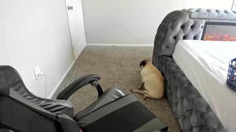 Snapshot of july_and_erick chatting on September 16, 2025, 6:42 pm july online show from September 16, 2025, 6:42 pm