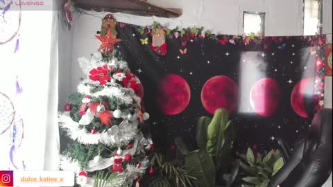 Snapshot of just_katiex chatting on January 1, 2025, 2:42 pm Sofia online show from January 1, 2025, 2:42 pm