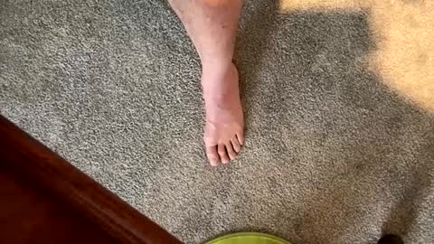 justanudedude online show from December 5, 2024, 1:38 pm