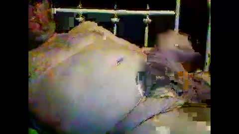 justpervfun online show from January 15, 2025, 12:41 am