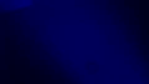 Karla Gonzaless online show from November 19, 2025, 7:30 am