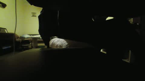 Snapshot of kaskaderns chatting on October 18, 2025, 8:09 pm Stojko online show from October 18, 2025, 8:09 pm