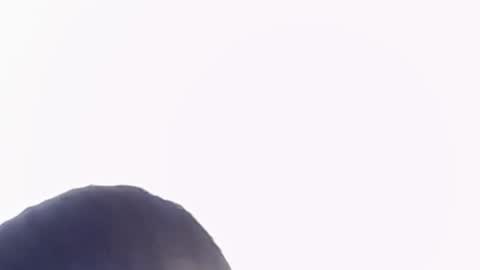 Snapshot of katejolie chatting on November 22, 2025, 6:29 pm Help me with rate thanks online show from November 22, 2025, 6:29 pm