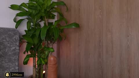 Snapshot of katiecruz_ chatting on November 20, 2025, 11:21 am Katie online show from November 20, 2025, 11:21 am