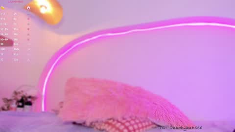 Snapshot of katiepeach_ chatting on January 9, 2025, 4:39 pm Katy IGPeach kat666 online show from January 9, 2025, 4:39 pm