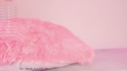 Snapshot of katiepeach_ chatting on January 16, 2025, 3:35 pm Katy IGPeach kat666 online show from January 16, 2025, 3:35 pm