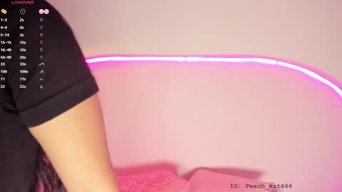 Snapshot of katiepeach_ chatting on January 18, 2025, 12:15 pm Katy IGPeach kat666 online show from January 18, 2025, 12:15 pm