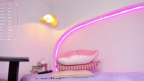 Snapshot of katiepeach_ chatting on January 22, 2025, 3:40 pm Katy IGPeach kat666 online show from January 22, 2025, 3:40 pm