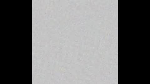 Kay Pup online show from November 19, 2025, 9:31 am