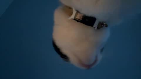 keepquietj online show from January 20, 2025, 12:25 am