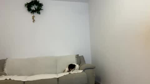 Kenna next time online - 2nd of Dec online show from January 23, 2025, 3:43 pm