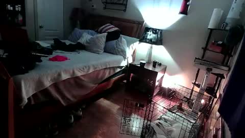 Snapshot of kevincosco65 chatting on February 18, 2025, 5:09 am kevincosco65 online show from February 18, 2025, 5:09 am