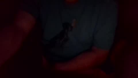 Snapshot of khw444 chatting on September 20, 2025, 10:49 am jesse444 cum show online show from September 20, 2025, 10:49 am