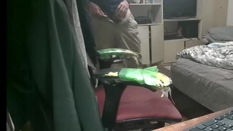 kinchan069 online show from November 9, 2025, 7:50 am